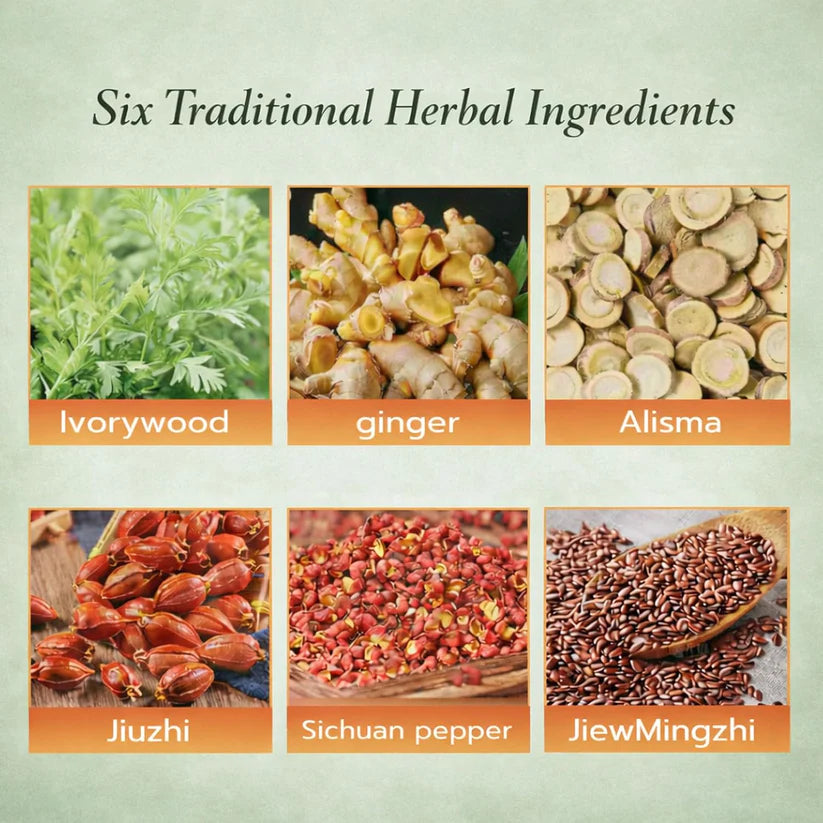 Herbal Balance Patch — Japanese Kampo Formula